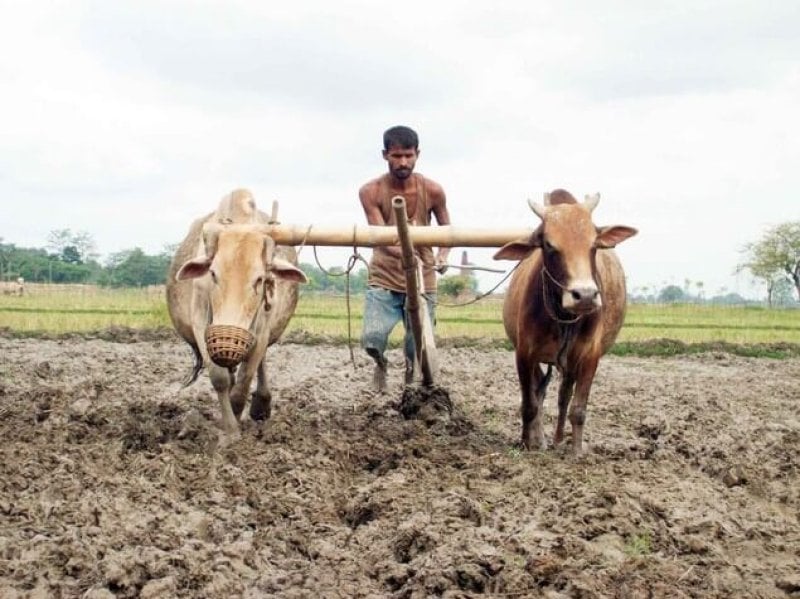 india farmers