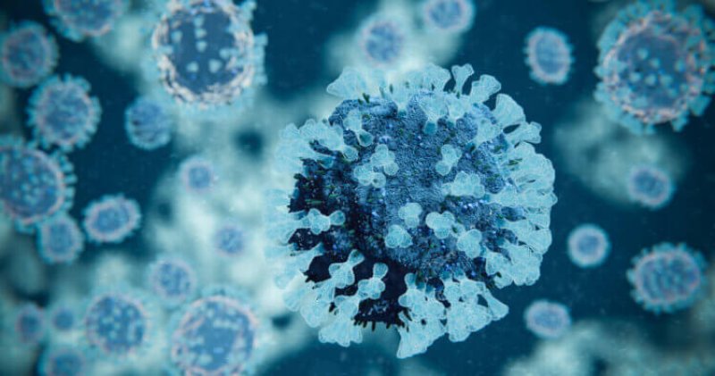 Covid might have caused flu strain b to become extinct.