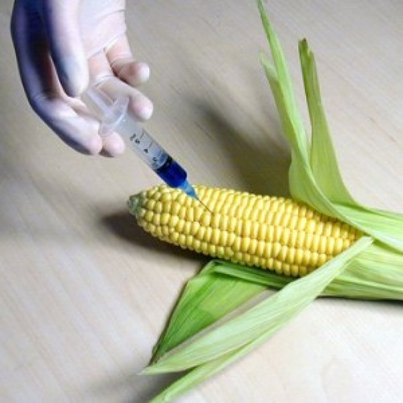 injecting bio corn
