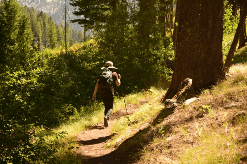 Hike a day keeps the doctor away? Spending time in nature could reduce the need for anxiety and blood pressure medications, study suggests