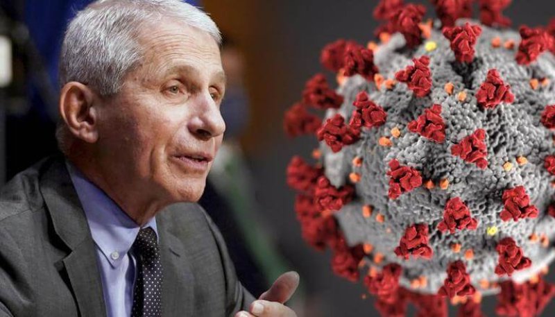 Dr. Anthony Fauci. Credit: AP