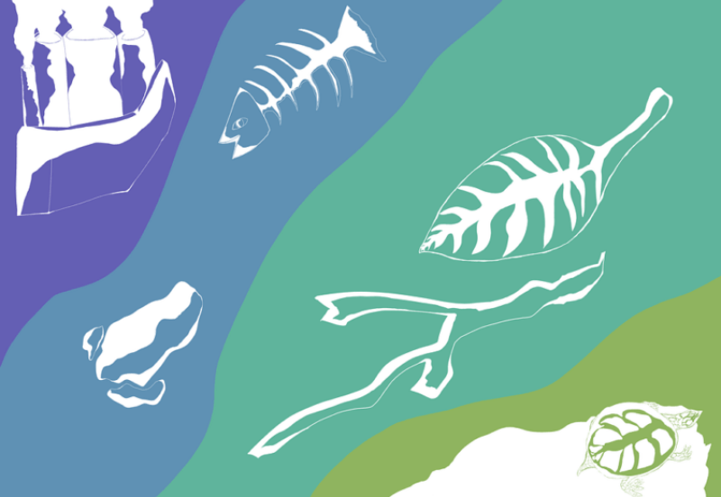 How cloning, gene editing and synthetic biology can help humanity stop the anticipated sixth extinction crisis