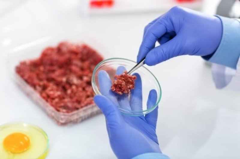 laboratory grown meat to go mainstream in ten years wrbm large