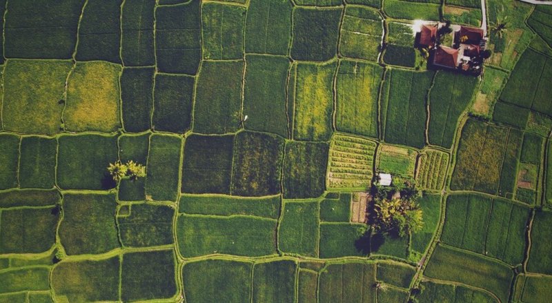 Study: ‘Land sparing’ — Farming has to be pragmatic, concentrated and as high-yield as possible to prevent an ecological catastrophe