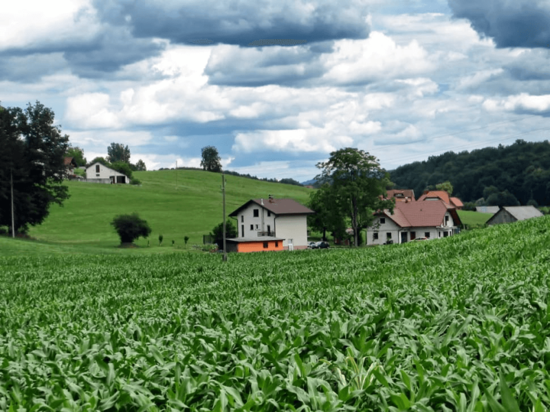 landscape scenic slovenia corn wallpaper preview