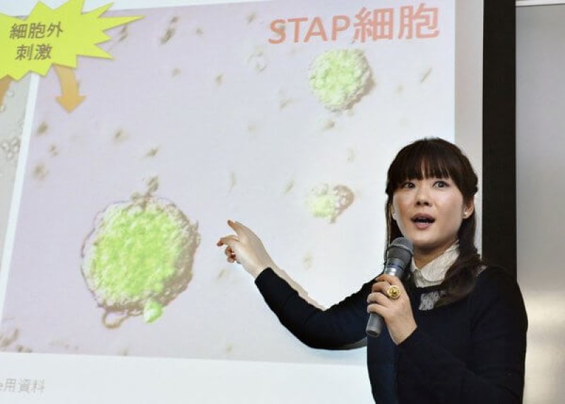 lat la stem cells wre