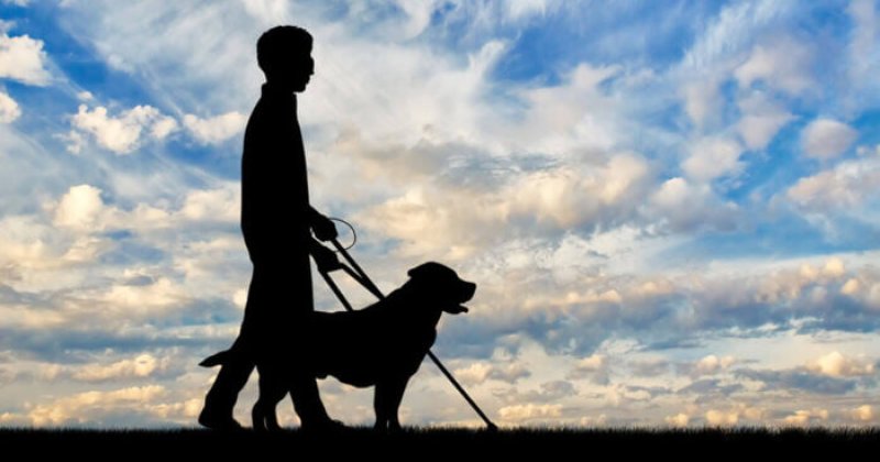 Scientific advancements helping blind eyes
