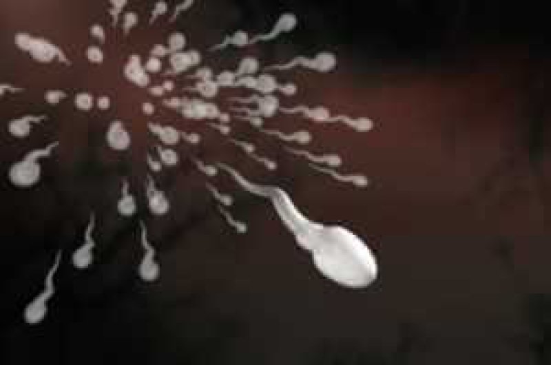 lifestyle causes of low sperm count