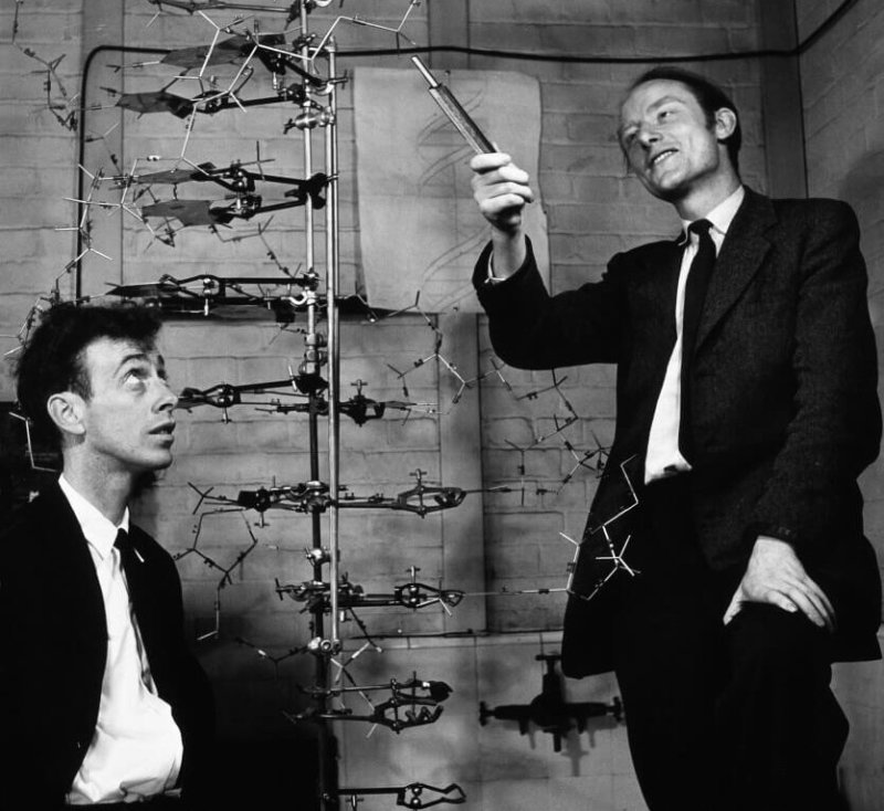 James Watson (left) and Francis Crick. Credit: Science Photo Library