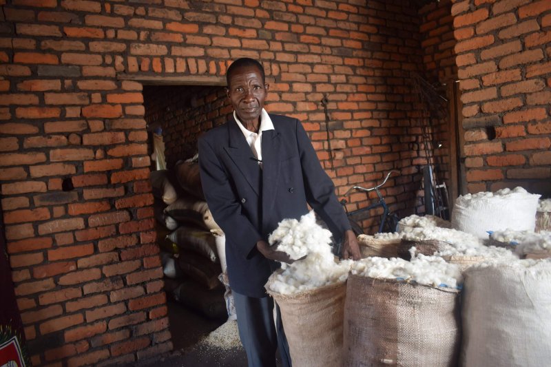 A Malawian farmer shows off his bumper crop of cotton. Credit: Suzgo Chitete