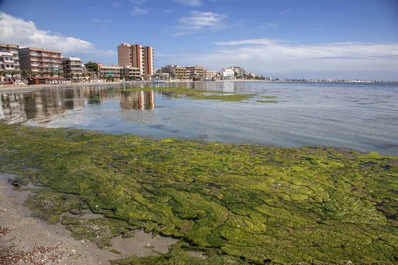 Algae blooms in Mar Menor. Credit: J. M. Rodrigues/AGM