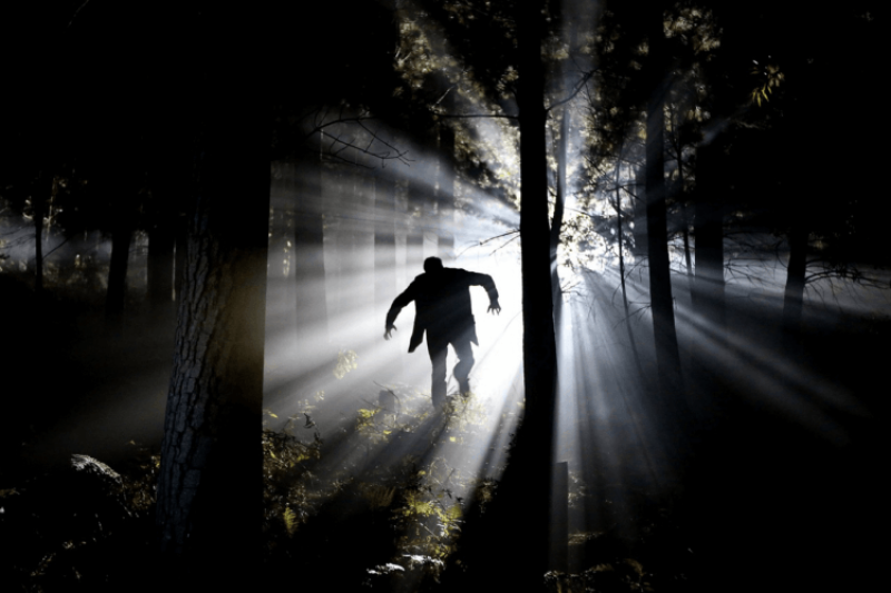 Immorality, lack of empathy, anti-social behavior: How has evolution shaped the history of psychopathological behavior