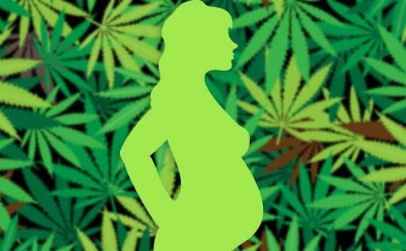 marijuna use common for nausea in pregnancy x