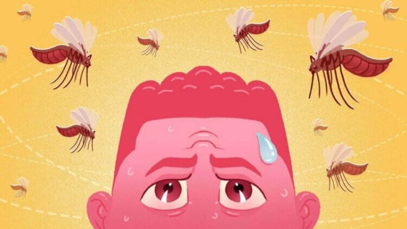 Why some people are mosquitoes more so than others?