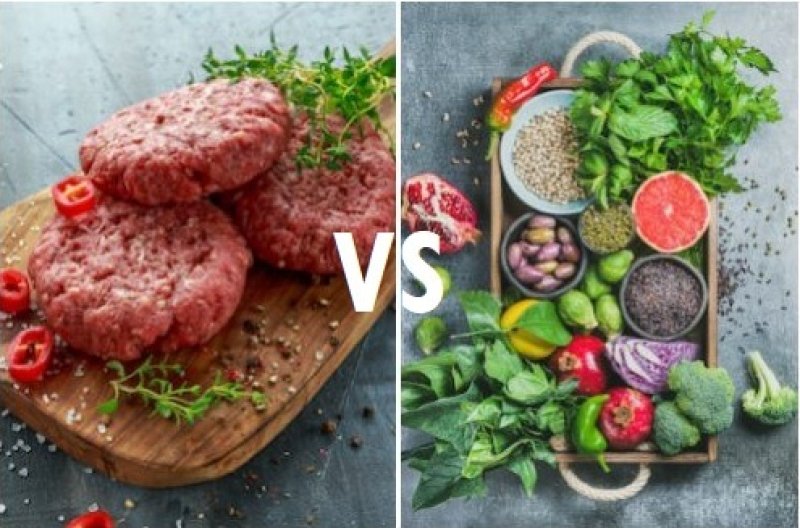 meat vs plants