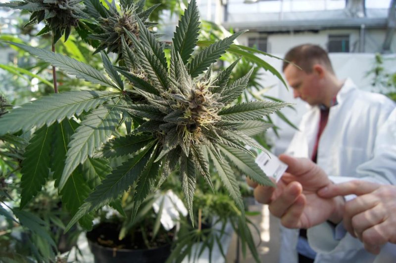 1-30-2019 med pot