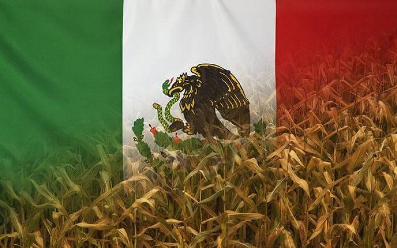 Mexico’s plan to ban glyphosate by 2024 is already backfiring against farmers, consumers and the environment