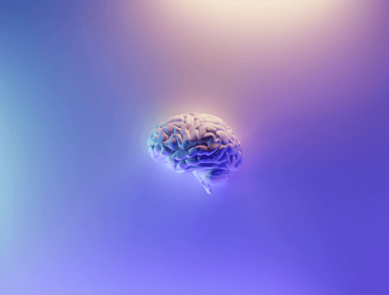 ‘The edge of chaos’: Why switching tasks makes our brains go haywire