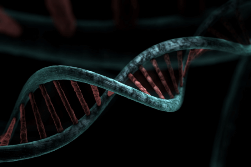 Science vs. equity: The debate over the future of gene editing intensifies