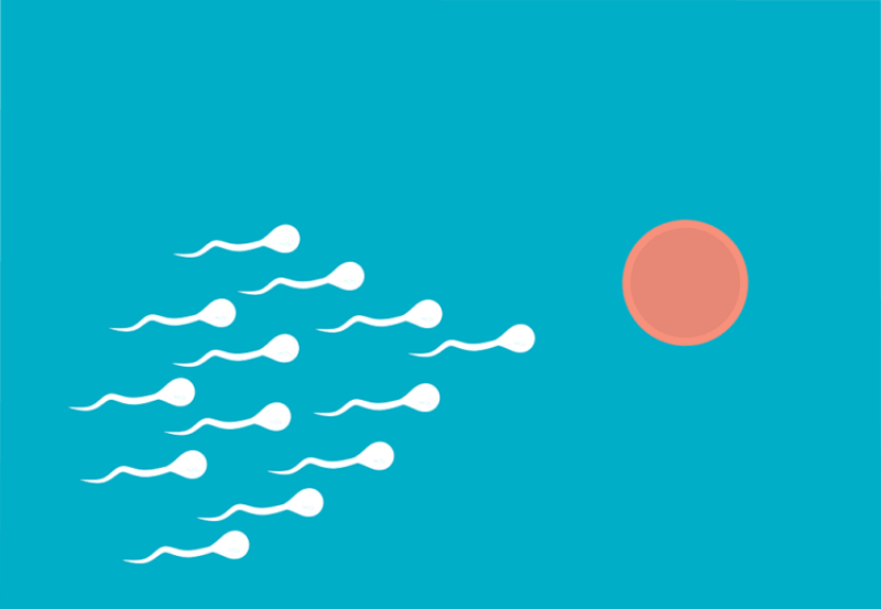 Ovaries in a dish? Lab-grown eggs are on the horizon