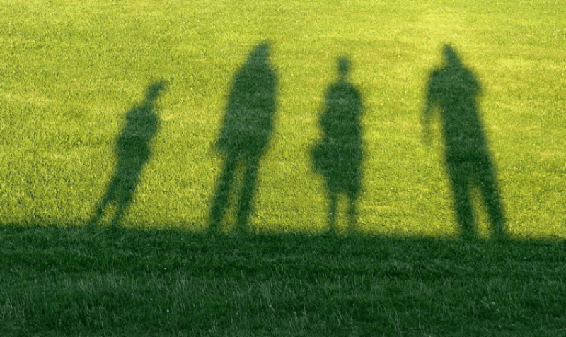 Why stop at three-parent babies? How many biological parents can organisms have?