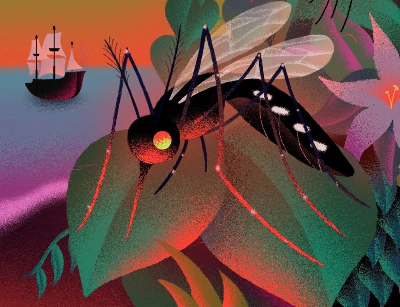 Mosquitos may have killed more people than any other single cause. Credit: Ariel Davis