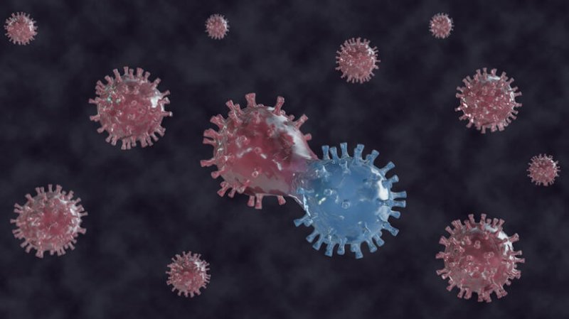 mt virus mutations
