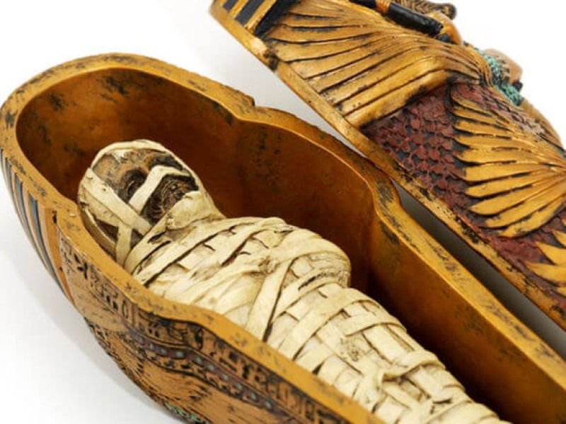 Dna From Mummies Show Ancient Egyptians Had Almost No Sub Saharan African Genes Genetic