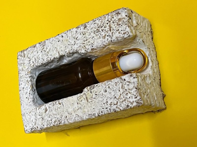 Mushroom and sawdust based packaging. Credit: EkoAgroBiotech