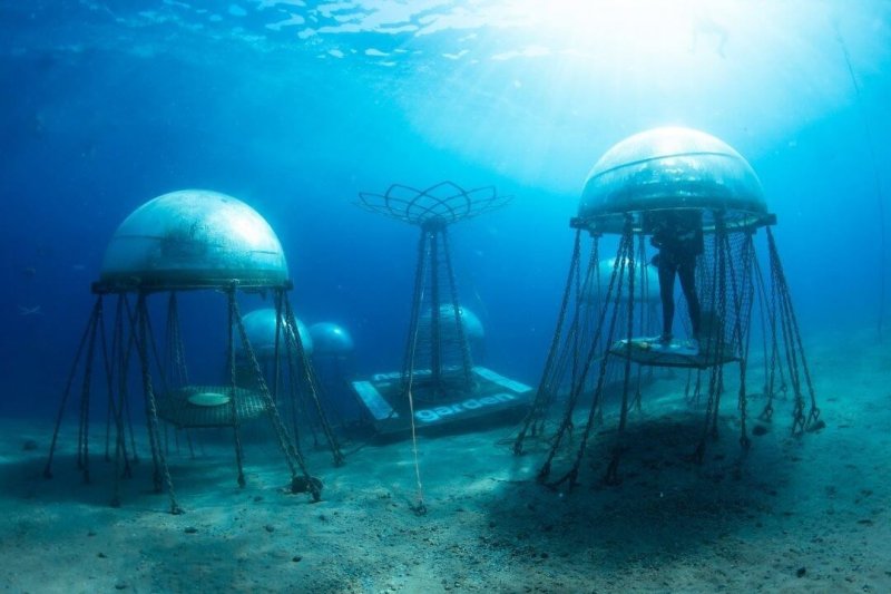 Plastic gardening pods are suspended between 4.5 to 11 metres below the surface. Credit: Nemo’s Garden