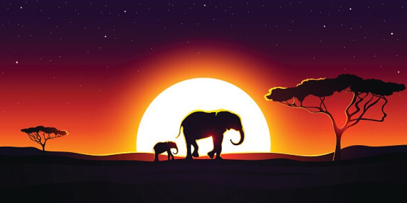 The savannahs are just one of Africa's biomes under threat from climate change. Credit: Nataniil via Getty Images