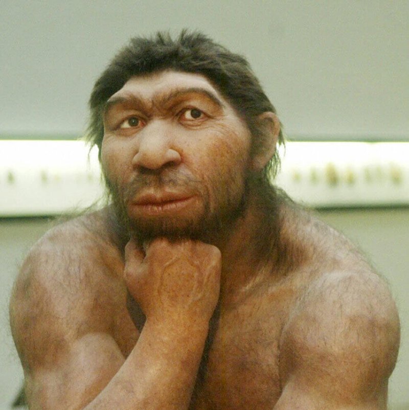 neanderthal e