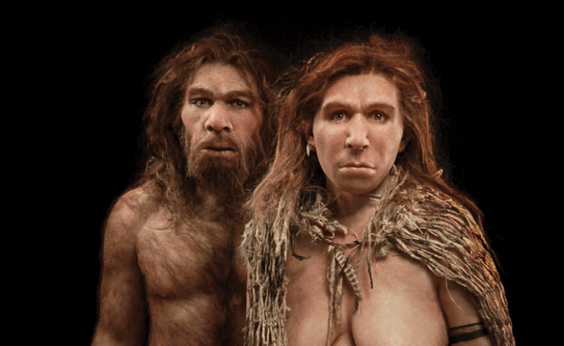 neanderthal hero l
