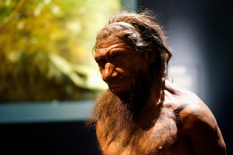 neanderthalnhm paulhudsonccby