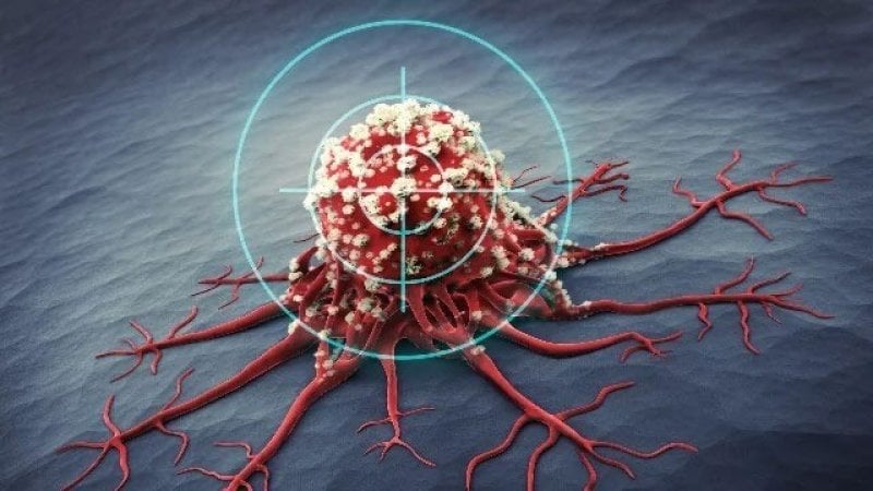 new drug combo could help immune cells target and destroy cancer cells