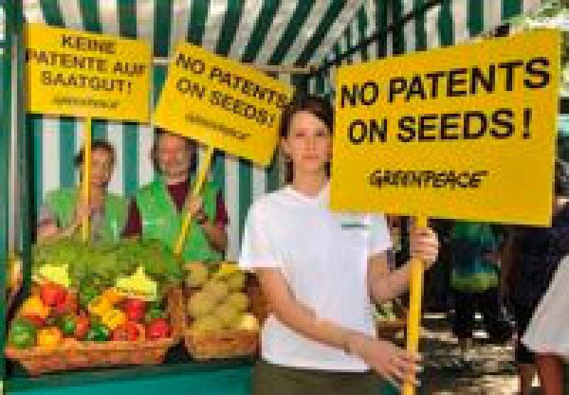 no gmo patent greenpeace protests in munich against the patent on broccoli