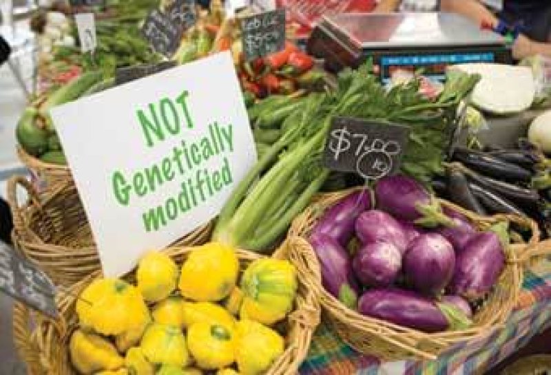 not GM foods