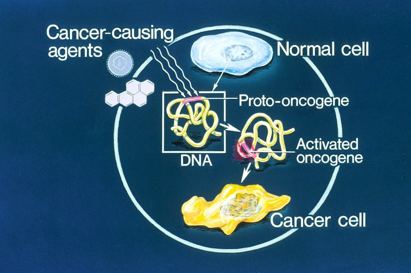 oncogene dpi RGB