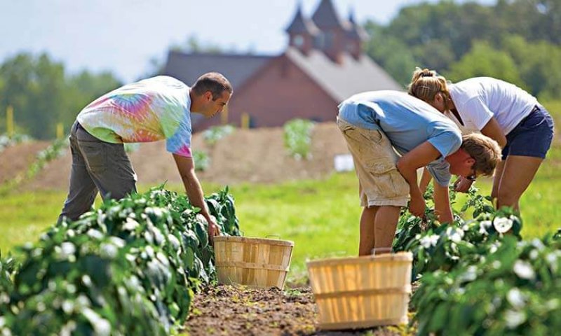 organic farming reduces fertilizer