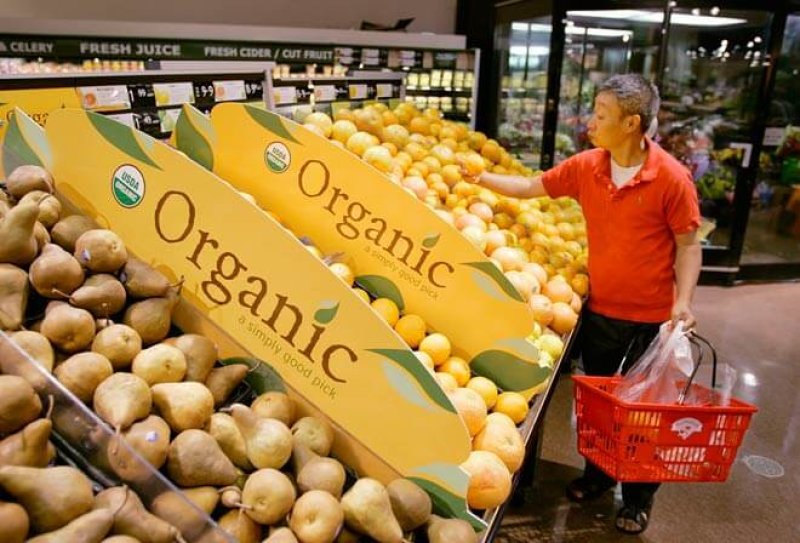 organic food story