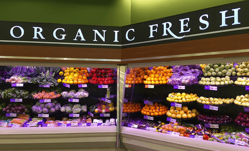 organic organic food food healthy preview