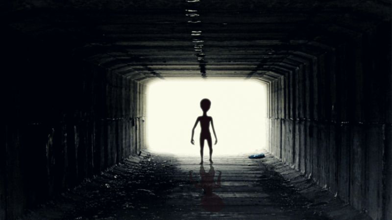 Grey giants or little green men? If there is intelligent alien life on other planets, what might it look like?
