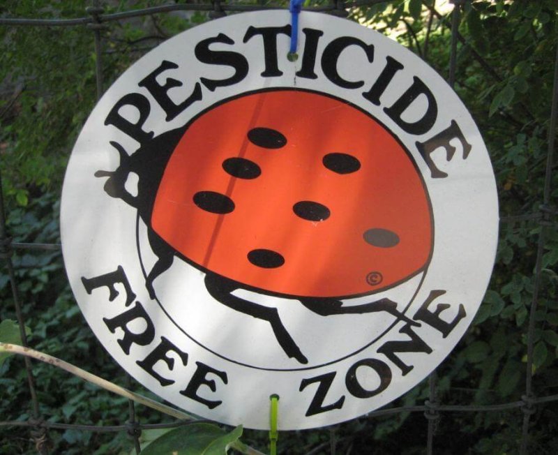 pesticide free zone e