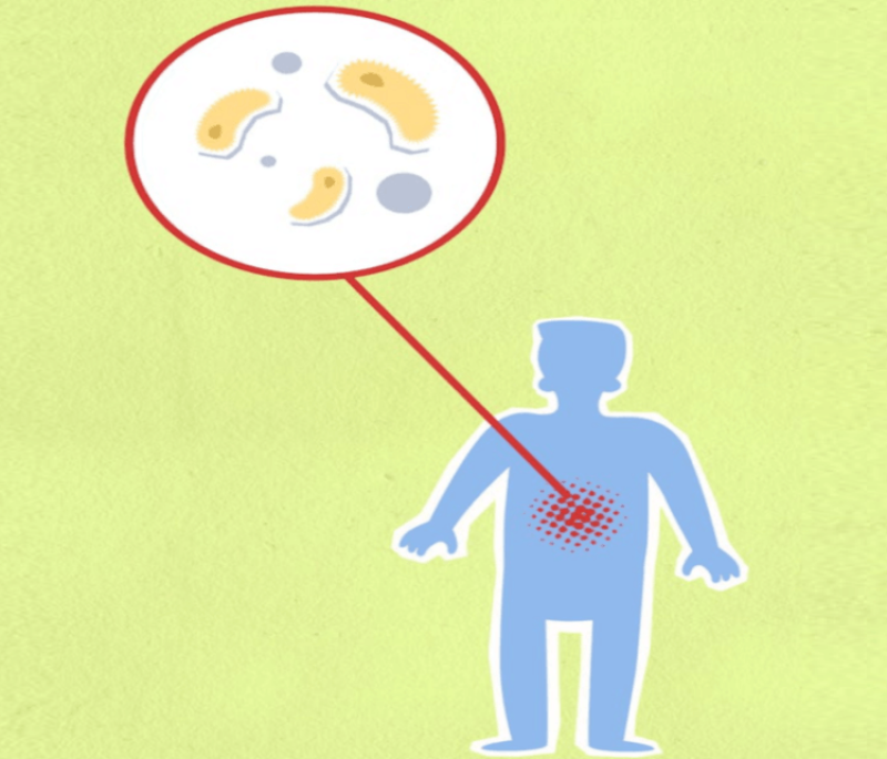 Does gut bacteria ‘control’ your brain? Exploring connections between our microbiome and mental health
