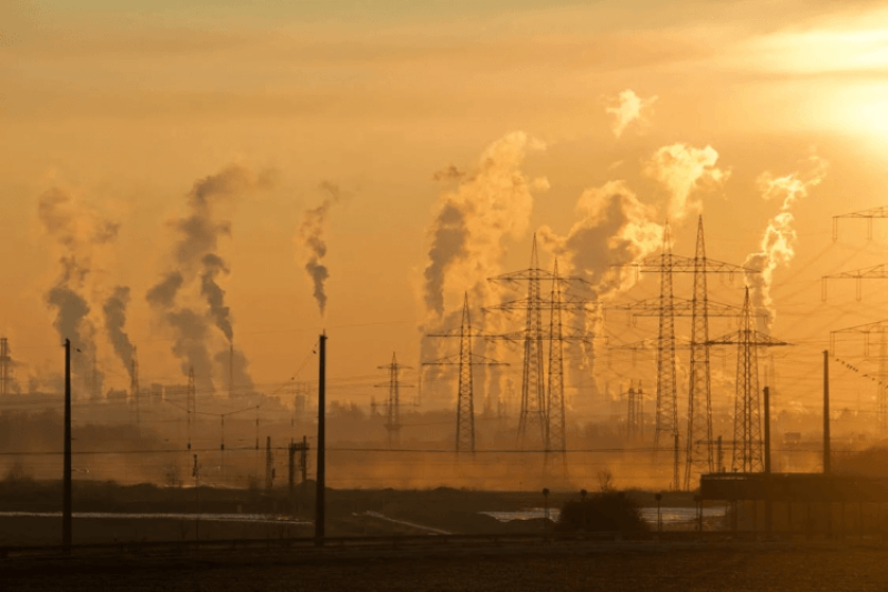 What explains Homo sapiens’ huge brains? Ancient climate change played a role
