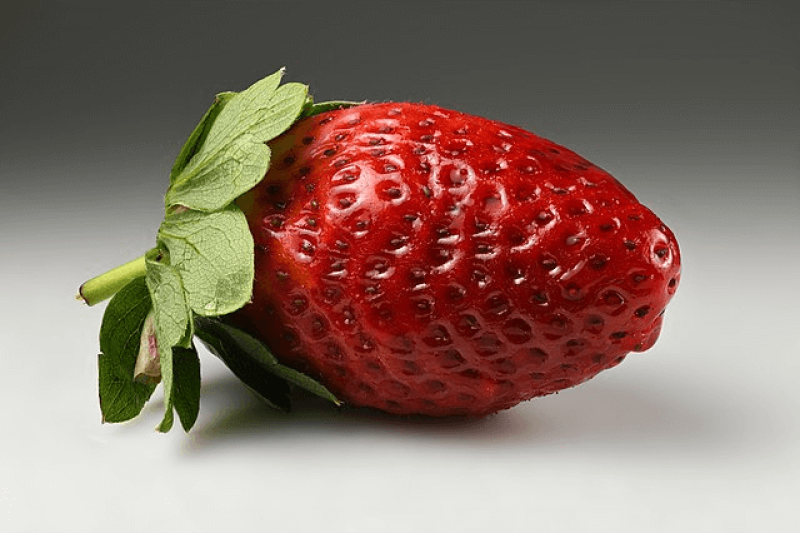 While traditional breeding methods are slow, especially due to the high ploidy of strawberries, modern methods such as CRISPR offer precision and speed. Credit: Ivar Leidus via CC-BY-SA-4.0