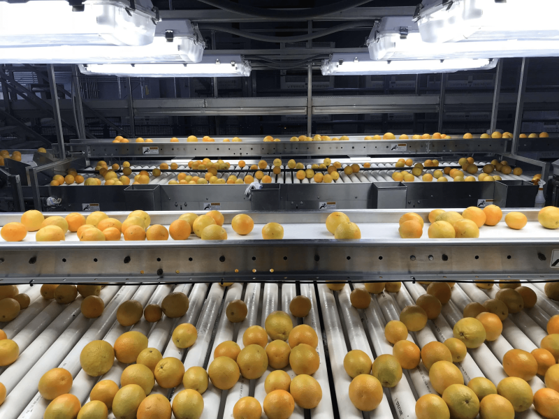Credit: Fruit Growers Supply