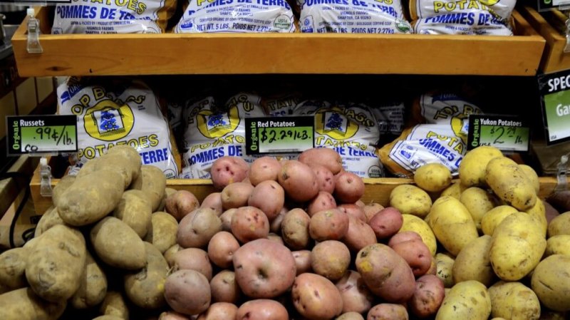 potato grocery x