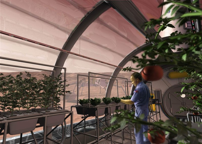 potatoes in space greenhouse