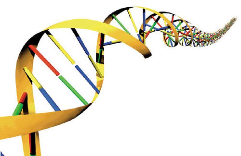 rainbow DNA
